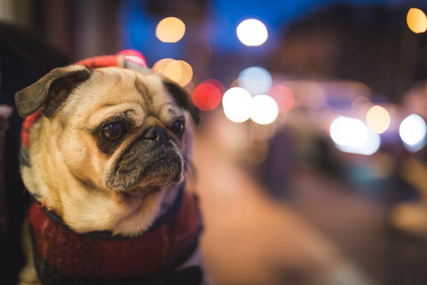 Walks after dark